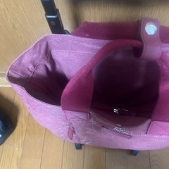 SWANY　　キャリーの画像