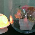 フォトRF脱毛、全身￥13,800