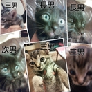 飼い主様募集中