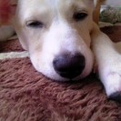 誰か助けてください。。。