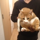里親探してます。可愛いですよ！