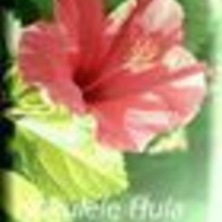 ハワイアンフラ＆タヒチ～ Hokulele Hula～