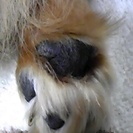 メル友欲しいです。