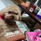 一歳の男の子です！