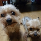 急募です！
