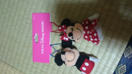 ディズニーランド キーホルダー ミッキー ミニー