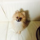 可愛がってくれる方！