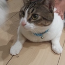 とっても人なつっこい1歳の男の子
