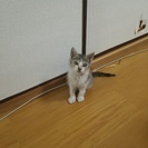 可愛がって下さい！