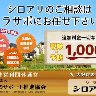 クラサポのシロアリ駆除