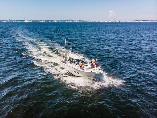 🛥クルージング🛥