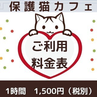 保護猫カフェのご利用料金です。