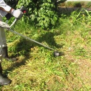 草刈り、木の伐採