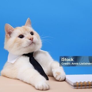 株式会社CATS代表取締役　三住和基