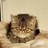ゆうちさんのプロフィール画像