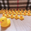 りさんのプロフィール画像