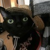 ぷーたろうさんのプロフィール画像