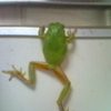 satowaさんのプロフィール画像