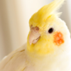 Sunさんのプロフィール画像