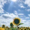 ecochaさんのプロフィール画像