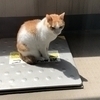 まつさんのプロフィール画像