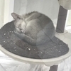 マサルさんのプロフィール画像