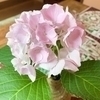 いくちんさんのプロフィール画像