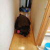 もちもちMamuさんのプロフィール画像