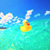 RRさんのプロフィール画像
