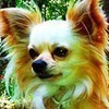 ダトニオさんのプロフィール画像