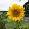 かずぽんさんのプロフィール画像
