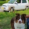 マミさんのプロフィール画像