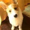Kさんのプロフィール画像