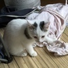 yurikooderさんのプロフィール画像