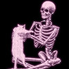 猫中毒
