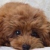 ゆきさんのプロフィール画像