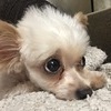 ボンさん
