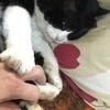 kijiさんのプロフィール画像