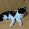 ゆきんこさんのプロフィール画像