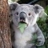 バラキさんのプロフィール画像