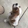 ゆうきさんのプロフィール画像