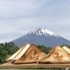 マシューさんのプロフィール画像