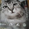 minさんのプロフィール画像