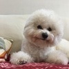 奈緒さんのプロフィール画像