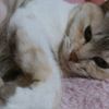 NanaMamaさんのプロフィール画像