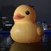ラバーダックさんのプロフィール画像