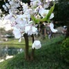 春さんのプロフィール画像