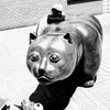 しげさんのプロフィール画像