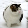 NNNさんのプロフィール画像