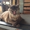 たかさんのプロフィール画像